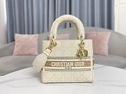 Fortok Dior Lady D-Lite Bag Embroidery Beige 24x20x11cm - 1