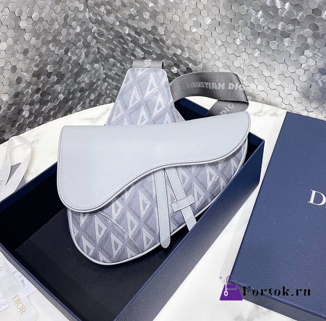 Fortok Dior Bag Gray CD Diamond Canvas & Smooth Calfskin 26x19x4.5cm - 1
