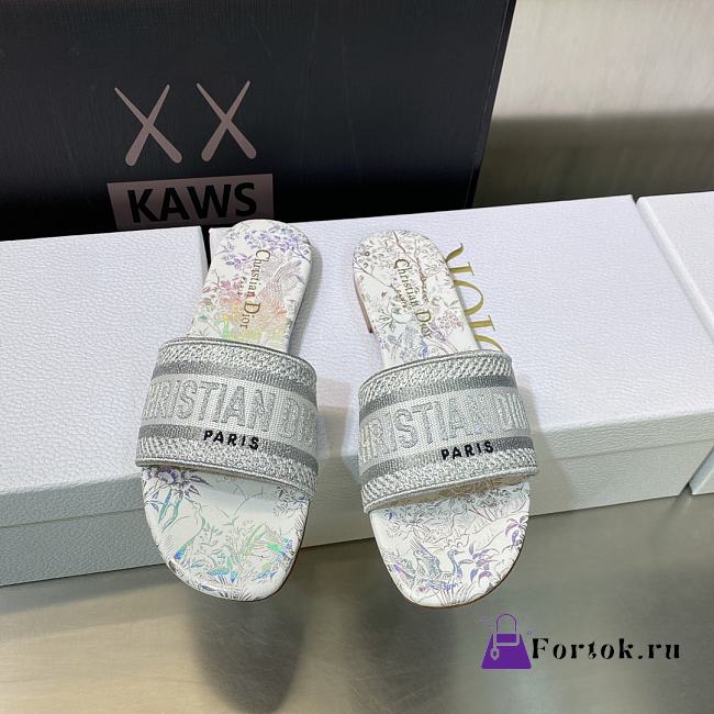 Fortok Dior 2023 Dway Slide No.2 - 1