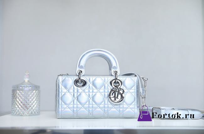 Fortok Dior Lady D-Joy Bag Silver 22x12x6cm - 1