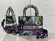Fortok Dior Lady Bag Blue Multicolor Toile de Jouy Voyage Embroidery 24cm - 1