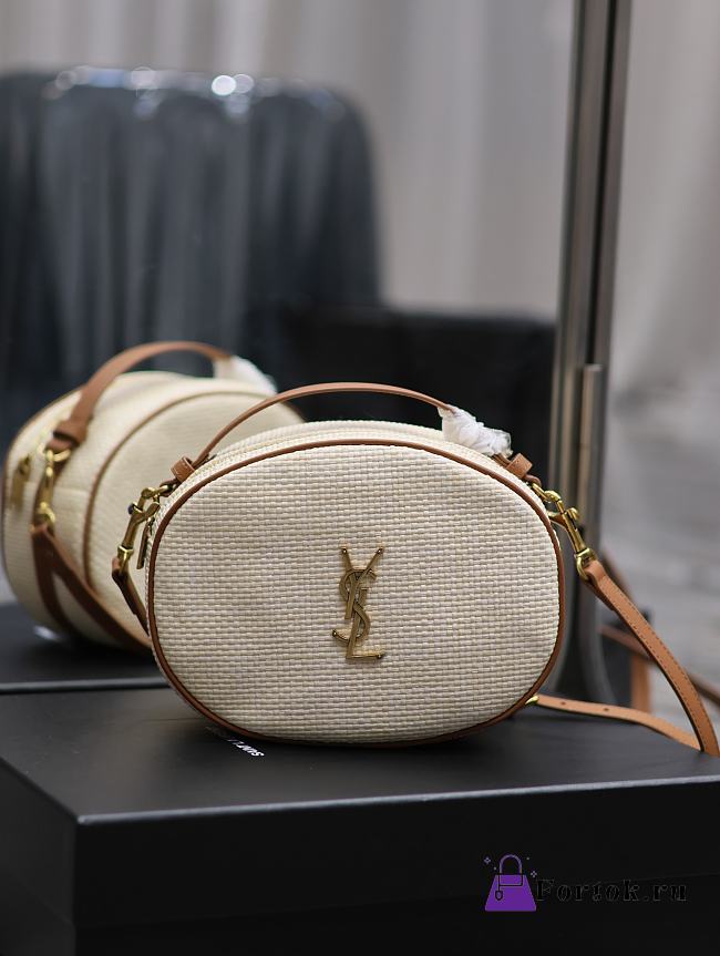 Fortok Saint Laurent White Camera Bag In Raffia And Vegetable-Tanned Leather - 1