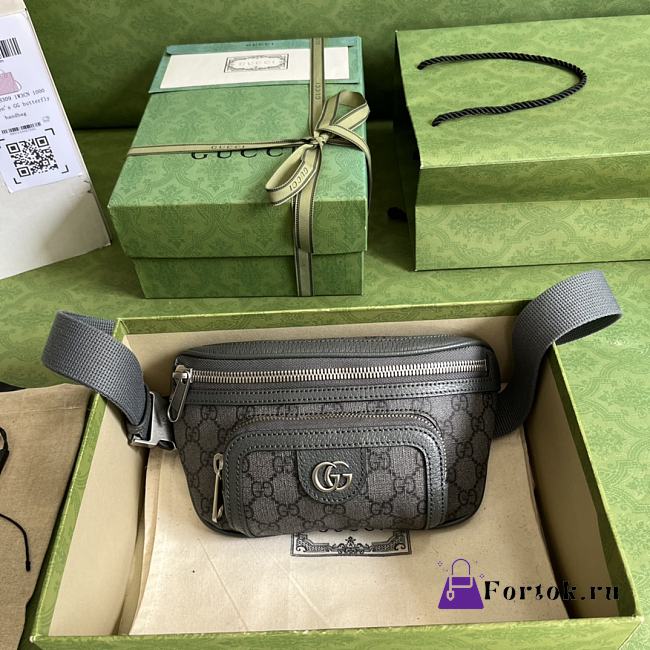 Fortok Gucci Ophidia Multi-Pocket Belt Bag Grey 23cm - 1