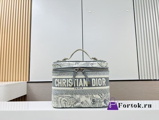 Fortok Dior Oblique Classic Tiger Canvas Embroidery Vanity Case - 1