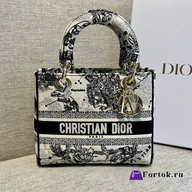 Fortok Dior Lady Bag Toile de Jouy Embroidery 20cm - 1