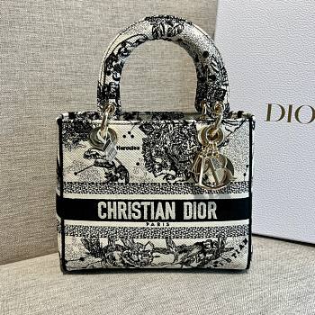 Fortok Dior Lady Bag Toile de Jouy Embroidery 20cm