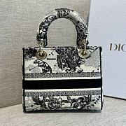 Fortok Dior Lady Bag Toile de Jouy Embroidery 20cm - 3