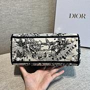 Fortok Dior Lady Bag Toile de Jouy Embroidery 20cm - 4