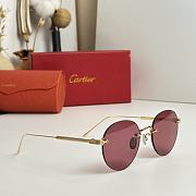 Fortok Cartier CT0393S Glasses - 2