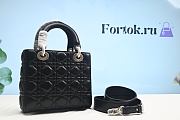 Fortok Dior Lady Black Bag Silver Buckle 20×16.5×8cm  - 1