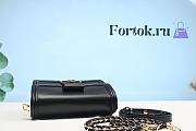 Louis Vuitton Mini Dauphine Epi Leather Black M55964 20x15x9cm - 4