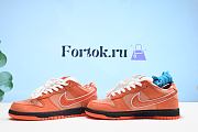 Fortok Nike SB Dunk Low Concepts Orange Lobster - 2