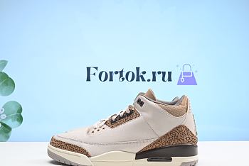 Fortok Air Jordan 3 Retro Orewood Brown CT8532-102