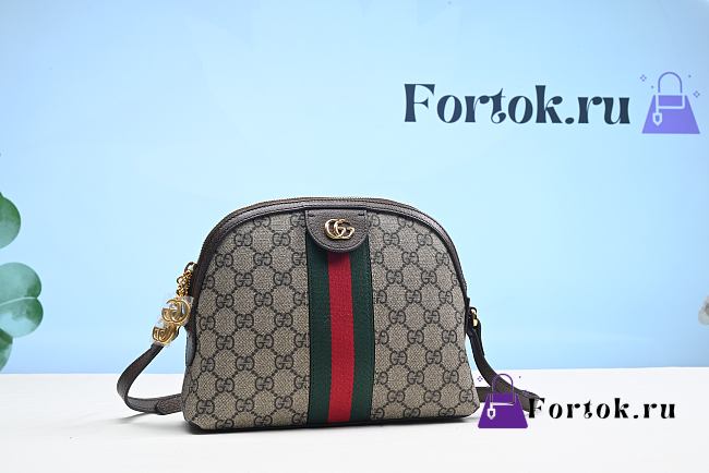 Gucci Ophidia GG Small Shoulder Bag 2628 - 1