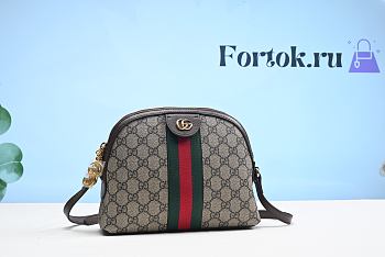 Gucci Ophidia GG Small Shoulder Bag 2628