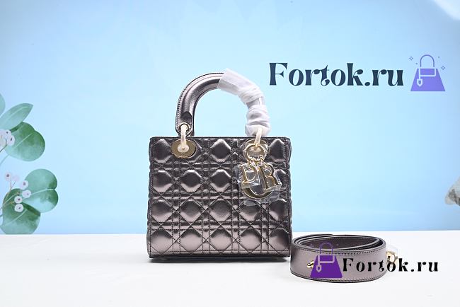 Fortok Dior Antique Silver Full Leather Gold Buckle Bag 20cm - 1