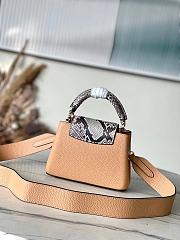 Fortok Louis Vuitton Capucines Mini Bag Brown N81985 21x14x8cm - 5