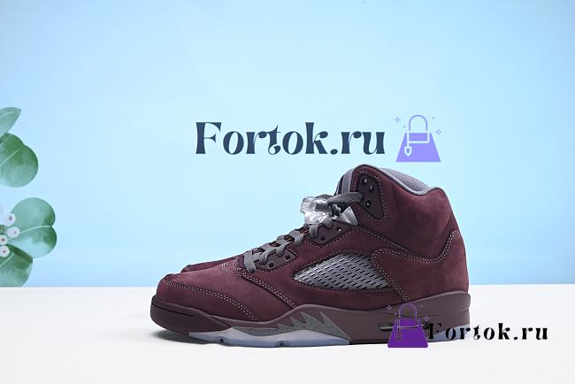 Fortok Air Jordan 5 Retro SE 