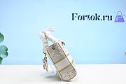 Fortok Dior Lady D-Joy Gold Embroidery Bag 26cm - 6