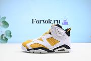 Fortok Air Jordan 6 Yellow Ochre CT8529-170 Sneakers - 1