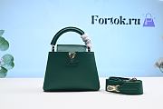 Fortok Louis Vuitton Capucines Bag Green 20cm - 1