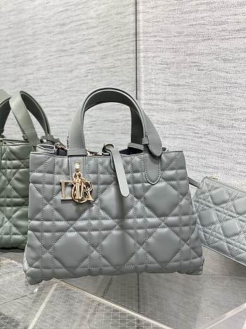 Fortok Dior Toujours Bag Grey 28.5x19x21cm