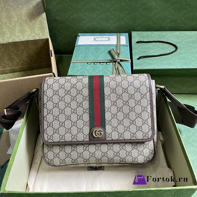 Fortok Gucci Ophidia Medium Messenger Bag Beige 761741 28x22x8cm - 1