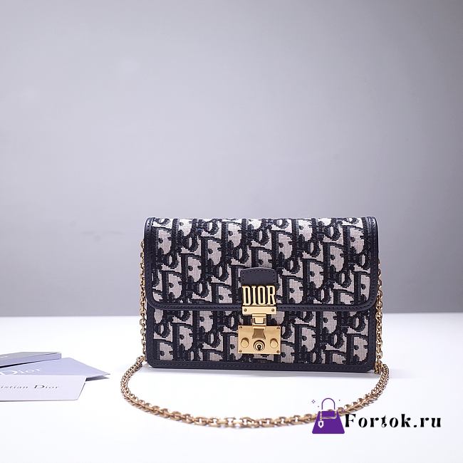 Fortok Dior Wallet on Chain Oblique Jacquard Canvas Leather 19x13x3.5cm - 1