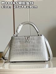  Fortok Louis Vuitton Capucines MM Crocodile in Silver M48865 27x18x9cm - 1