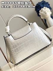  Fortok Louis Vuitton Capucines MM Crocodile in Silver M48865 27x18x9cm - 3