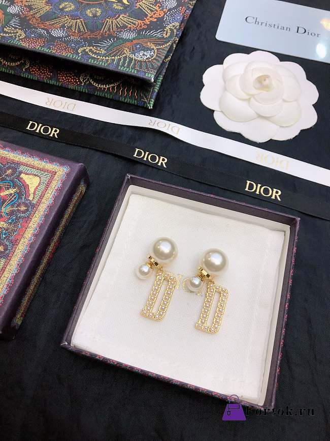 Fortok Dior CD Metal Earrings - 1