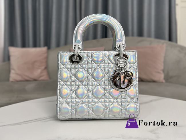 Fortok Dior Lady Metallic Silver-Tone Cannage Lambskin Bag 20x17x8cm - 1