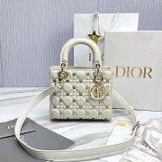 Fortok Dior Lady Cannage Lambskin with Gold-Finish Butterfly Bag White 20x17x8cm - 1