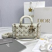 Fortok Dior Lady D-Joy Cannage Lambskin with Gold-Finish Butterfly Bag White 26x13.5x5cm - 1