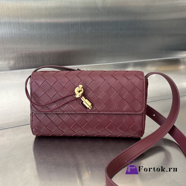 Fortok Bottega Veneta Mini Andiamo Crossbody Bag Burgundy 755545 21.5x13.5x4.5cm - 1