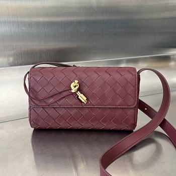 Fortok Bottega Veneta Mini Andiamo Crossbody Bag Burgundy 755545 21.5x13.5x4.5cm