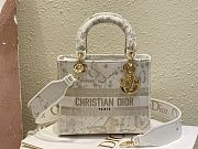 Fortok Dior Lady D-lite Butterfly Zodiac Embroidery Bag 24x20x11cm  - 1