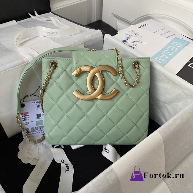 Fortok Chanel 24C Retro Metal Large Logo Bag in Green 17.5×20×5cm - 1