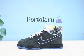 Fortok Nike Dunk SB Low Blue Concepts 313170-342