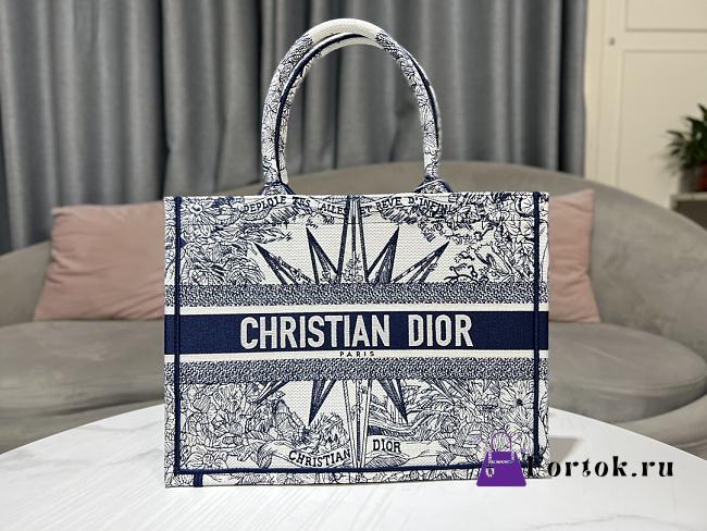 Fortok Dior Book Tote Large Blue Multicolor Rêve d'Infini Embroidery 36x27.5x16.5cm - 1