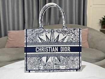 Fortok Dior Book Tote Large Blue Multicolor Rêve d'Infini Embroidery 36x27.5x16.5cm