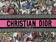 Fortok Dior Book Tote Butterfly Around The World Graphic In White And Pink 36x27.5x16.5cm - 3