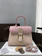 Fortok Delvaux Brillant Box Leather Bag in Pink 28cm - 1