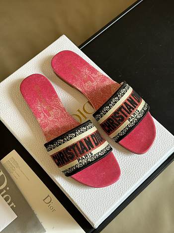 Fortok Dior SS24 Dway Embroidery Slides in Pink 