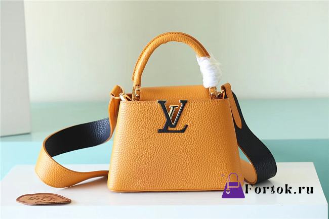 Fortok Louis Vuitton Capucines Mini Bag in Orange Taurillon Leather 21x14x8cm - 1