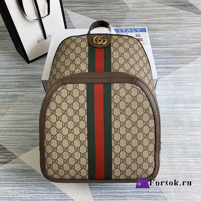 Fortok Gucci Ophidia GG Medium Backpack 547967 32×40.5×14.5cm - 1