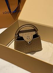 Fortok Louis Vuitton Capucines Bag Brown Ostrich Leather Pattern 21x14x9cm - 4