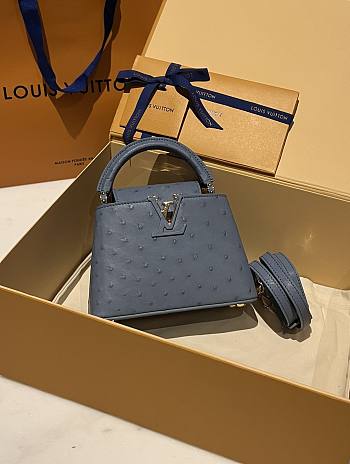 Fortok Louis Vuitton Capucines Bag Blue Ostrich Leather Pattern 21x14x9cm