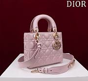 Fortok Dior Lady ABC Bag Pink 20x16x8cm - 3