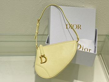 Fortok Dior Rodeo Saddle Pouch in Yellow 20x15x4cm